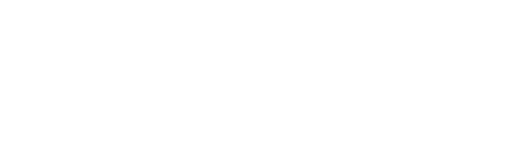 Logo nanospin